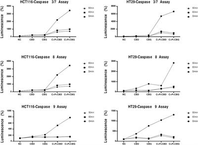 Cannabinoid compounds in combination with curcumin and piperine display an anti-tumorigenic effect against colon cancer cells